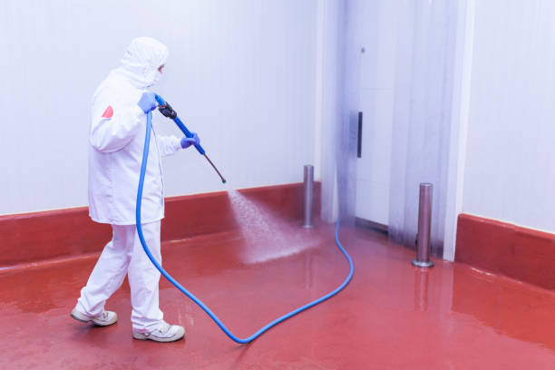 Best Paint Preparation  in Kamas, UT